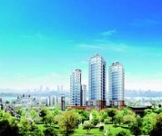 11월 11일 부동산파일