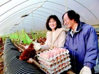 “닭이 나를 키웁니다” 남양주 송촌리 닭아저씨 김병수씨