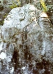 (30) 영주 분처상(分處像)의 비밀