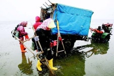“새만금 다 막히면 우린 죽은 목숨”