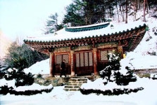 정선의 천년고찰 정암사