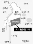 울산 관계기관 엇박자 47억 날아갈 뻔