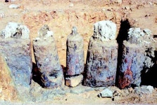 완도 청해진 유적지 ‘해상왕’ 따라 봄마중 가세