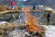 한 겨울 수고했구나