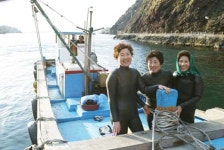 30년 울릉 해녀 삼총사