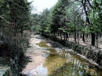 구리 인창동 ‘동구릉’