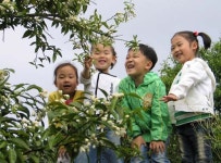 유자꽃 향기 솔솔