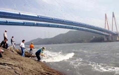 진도 “울돌목서  숭어잡이 어때?”