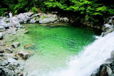 용이산다…곰이 추락사, 산청 백운동계곡