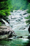 용이산다…곰이 추락사, 산청 백운동계곡