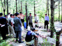 남·북 강원도 힘 합쳐 금강산 소나무 살렸다