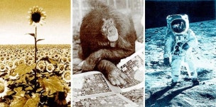 꿈꾸며 탐구하는 인간 고독한 진화의 문에 들다