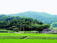 쿵~쿵~쿵~쿵…계룡산에 긴장 고조
