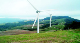 신재생 에너지, 걸음마 넘어 달음박질