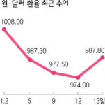원-달러 환율 ‘널뛰기’ 멈출까?