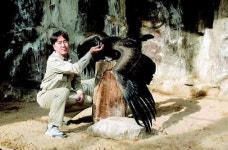 콘도르 길들이기 국내 첫 성공