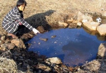 문산천 곳곳 기름띠 둥둥 2㎞위엔 상수도 취수장이