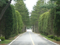 솔숲 오솔길 따라 꽃향기 물향기