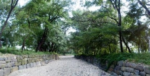 마을숲 되살려 ‘살맛나는 세상’을
