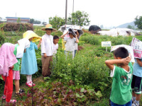 “딴짓요? 공부가 놀이인 걸요”