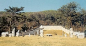 “우리가 묏자리 주인” 250년 문중싸움 과연 끝날까