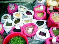 [하니바람 갤러리] 너의 이야기가 궁금하다