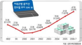 덩치 커진 저축은행 웃자랐나 여물었나