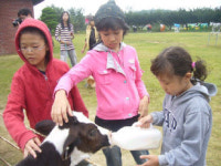 젖소는 하루 4시간 자고 9시간 밥 먹는대！