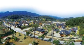 외나무다리 건너면 ‘물 위의 연꽃’