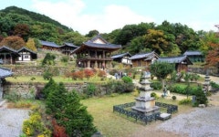 외나무다리 건너면 ‘물 위의 연꽃’