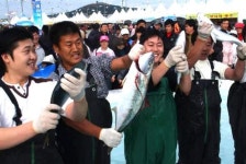 ‘방어축제’ 개막