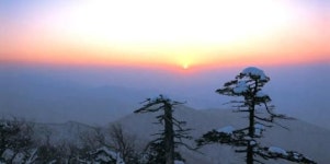 설국행 환상선 탈까 낭만선 탈까