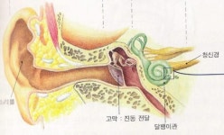 교과서가 가장 좋은 논술교재