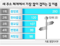‘여기도 중앙로 저기도 중앙로’ 무려 293개