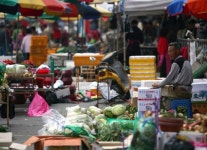 5월에 가볼 만한 곳, 전국의 5일장