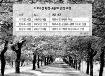 청주 명물 ‘가로수길’ 확장공사 몸살