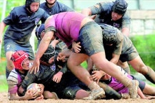 스포츠는 살아있다