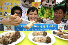 봉화 송이버섯 드시러 오세요