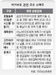 ‘와이브로’주, 멀리 보고 가려 투자하라
