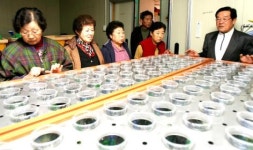 ‘경로당표 콩나물’ 쑥쑥