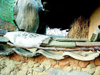 “젤로 따순 다무락 앞이 우리 마을 사랑방이여”