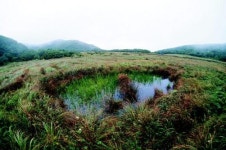 강원, 대암산 용늪 복원 팔걷어