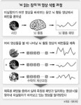 당신이 지금 무엇을 보는지 알 수 있는 ‘마음 읽는 기계’ 등장