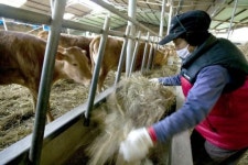 치솟는 사료값에 축산 농가 깊은 시름