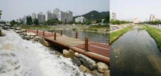 대전천 4계절 내내 물 흐른다