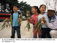 청정 갯벌 명성 회복 밀물 조금씩 조금씩