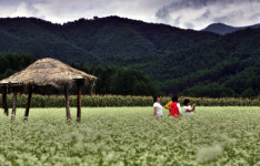 낙찰! 알뜰휴가…농촌 테마마을로