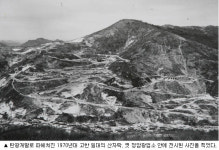 서늘한 꽃의 바다 축제, 맘 담그면 피서의 꽃