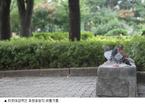 선열과 자연의 숨결이 한데 어우러진 효창공원 