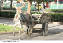 자전거 두고 버스와 기차를 타다